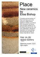 Aotea Gallery show poster